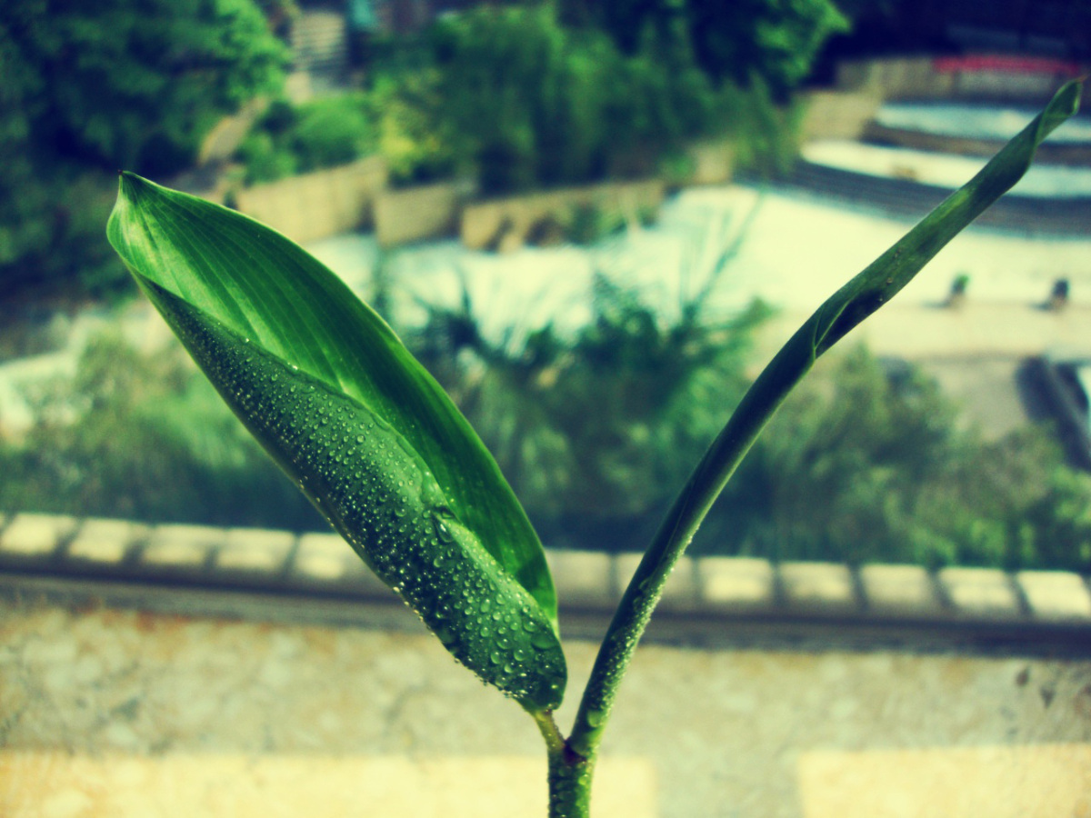 tumblr_m32rtlhscy1qktd12o2_1280